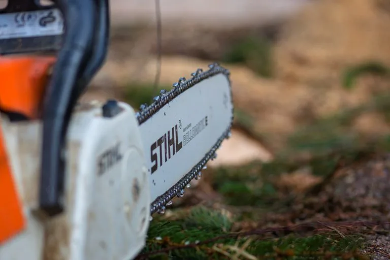 Pilarka łańcuchowa Stihl przy ściętym pniu