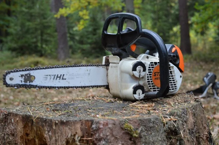 Pilarka spalinowa Stihl na ściętym pniu w lesie