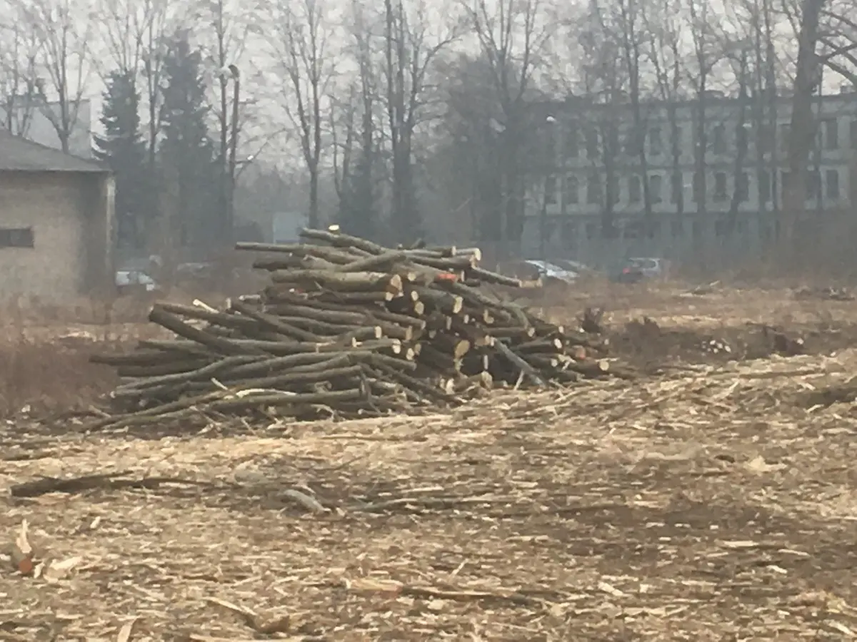 Zwałka gałęzi po czyszczeniu działki